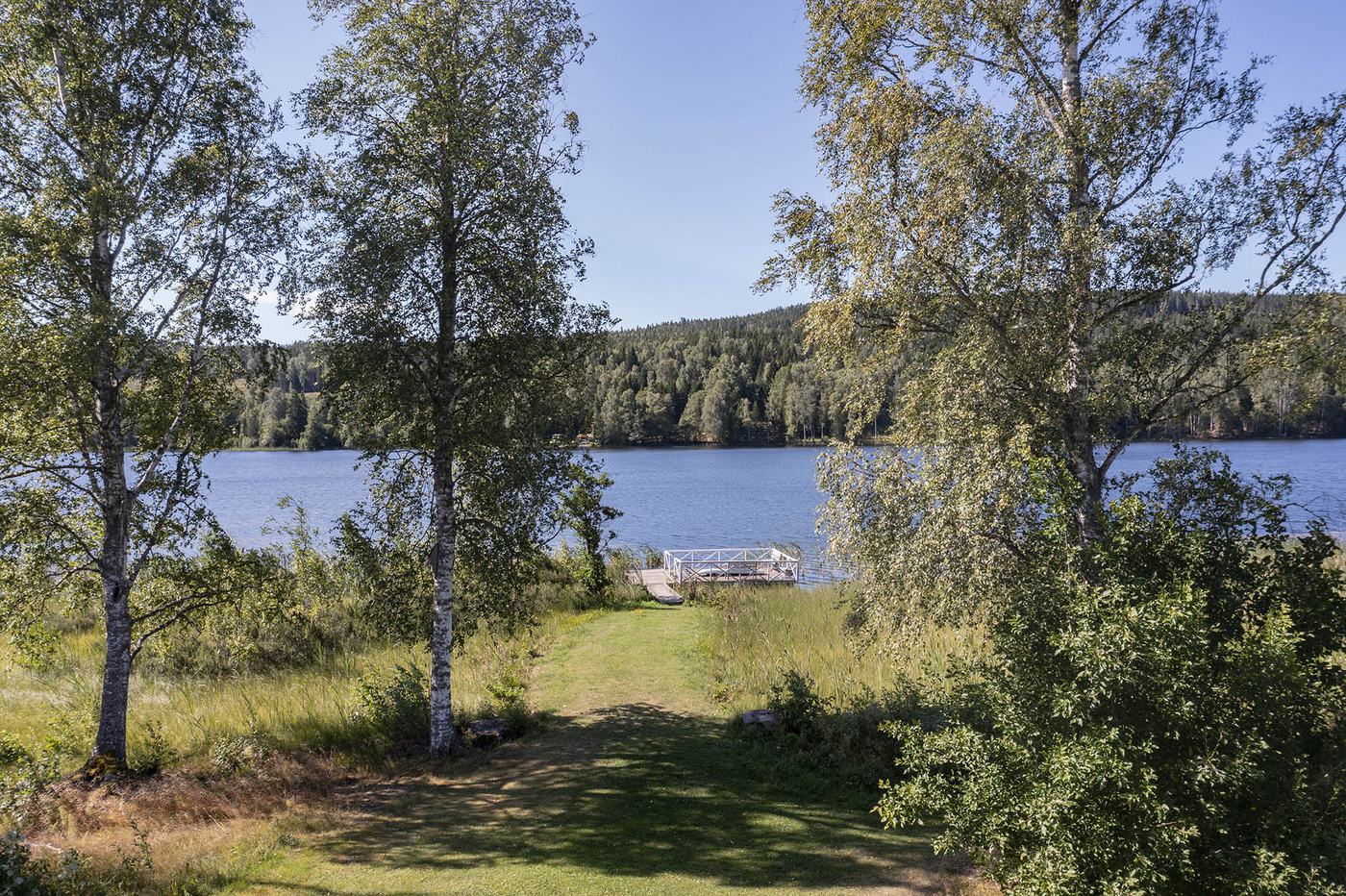 Klippt gräsgång genom björkarna ner till egna bryggan vid Borgsjön
